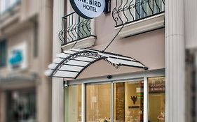 Mr. Bird Hotel